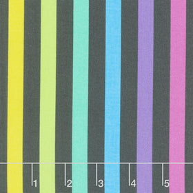 Graywork - True Colors Disco Stripe Carbon Yardage