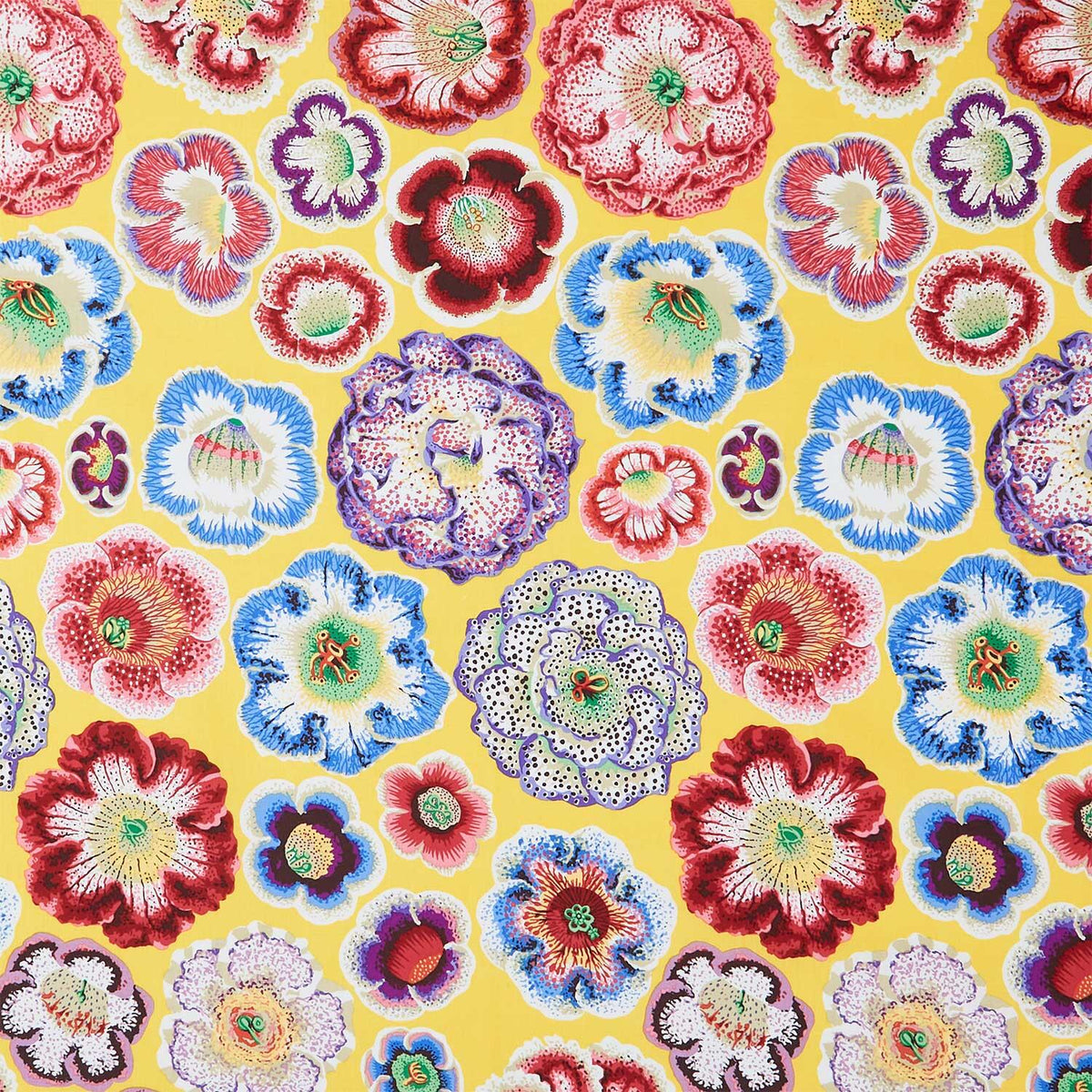Kaffe Fassett Collective - August 2026 Helen Yellow Yardage