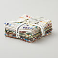 Eclectic Elements - Palette Multi Fat Quarter Bundle