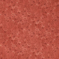Flossie's Flowers - Calicos Red 2 Yard Cut