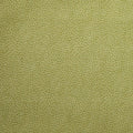 Pansy For Your Thoughts - Mini Dot Green 2 Yard Cut