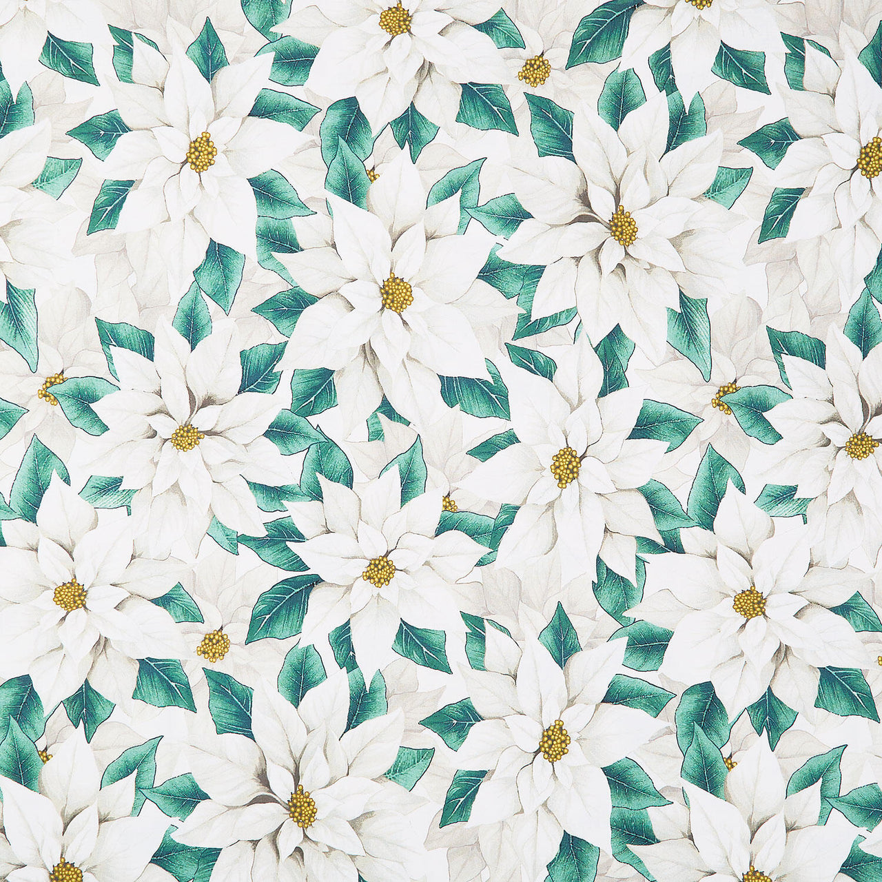 Poinsettia Splendor - Poinsettia Winter White Multi 108" Wide Backing