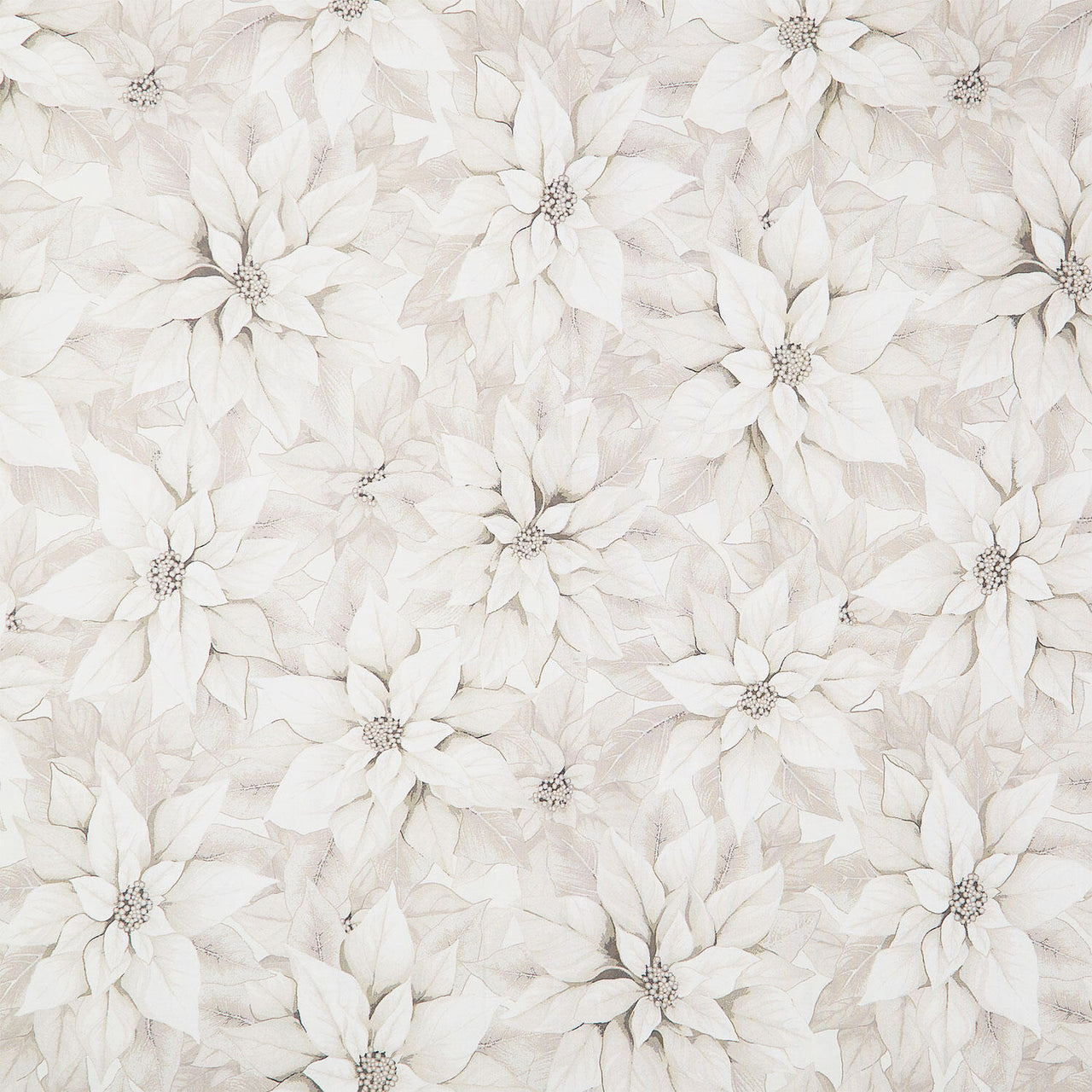 Poinsettia Splendor - Poinsettia Winter White 108" Wide Backing