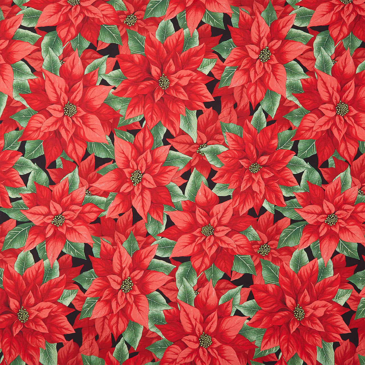 Poinsettia Splendor - Poinsettia Black Red Multi 108" Wide Backing