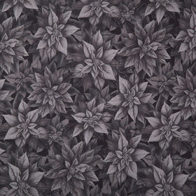 Poinsettia Splendor - Poinsettia Black 108" Wide Backing