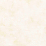 Soft Place to Land 108" - Distressed Texture Cream 108" Wide Backing