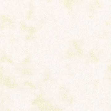 Soft Place to Land 108" - Distressed Texture Cream 108" Wide Backing