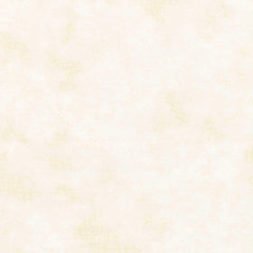 Soft Place to Land 108" - Distressed Texture Cream 108" Wide Backing