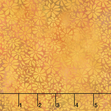 Dear Clara - Field Gold Yardage