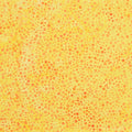 Rainbow Batiks Favorites - Dots Orange Taxi 2 Yard Cut
