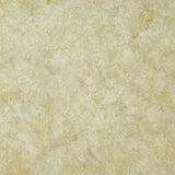 Stone Strata Batiks - Fossil Fern Leaf Brown Tumbleweed Yardage