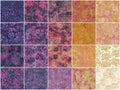 Botanical Dreams Batiks Favorites Strips