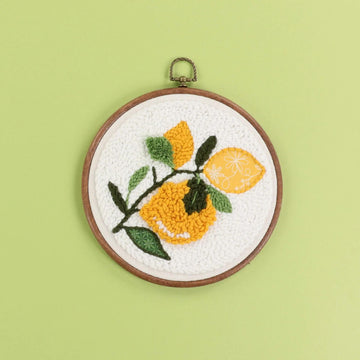 You're the Zest Punch Needle Hoop Kit