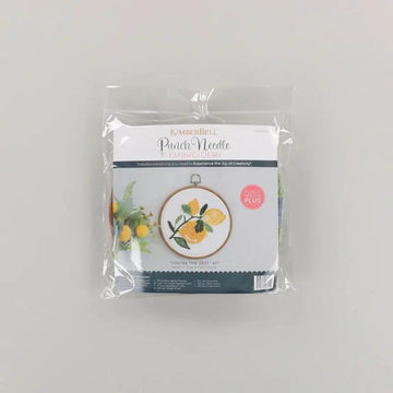 You're the Zest Punch Needle Hoop Kit