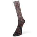 Laines Du Nord Paint Gradient Sock Yarn