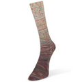Laines Du Nord Paint Gradient Sock Yarn