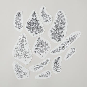 Ferns Stick and Stitch Embroidery Pattern