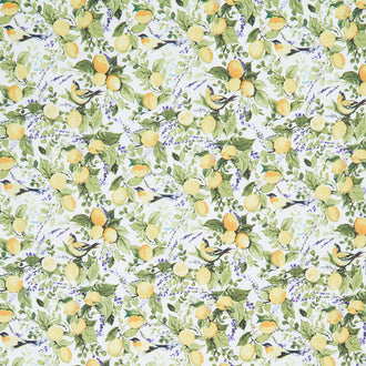 Lavender Lemonade - Lemons and Lavender White Yardage