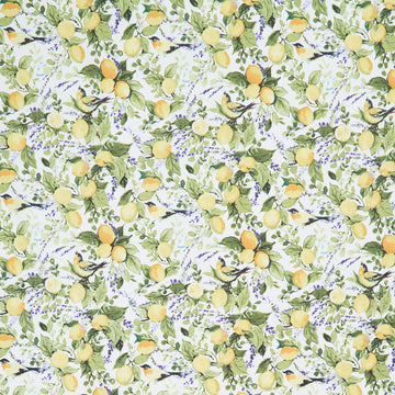 Lavender Lemonade - Lemons and Lavender White Yardage