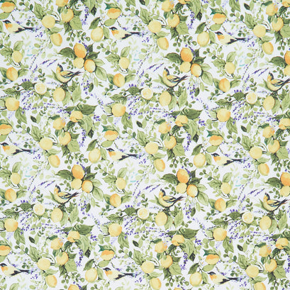 Lavender Lemonade - Lemons and Lavender White Yardage