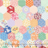 Aunt Grace Goes Scrappy - Hexagon Multi Yardage
