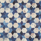 Convenience Cloth - Pam's Stars Cheater Cloth Blue Yardage