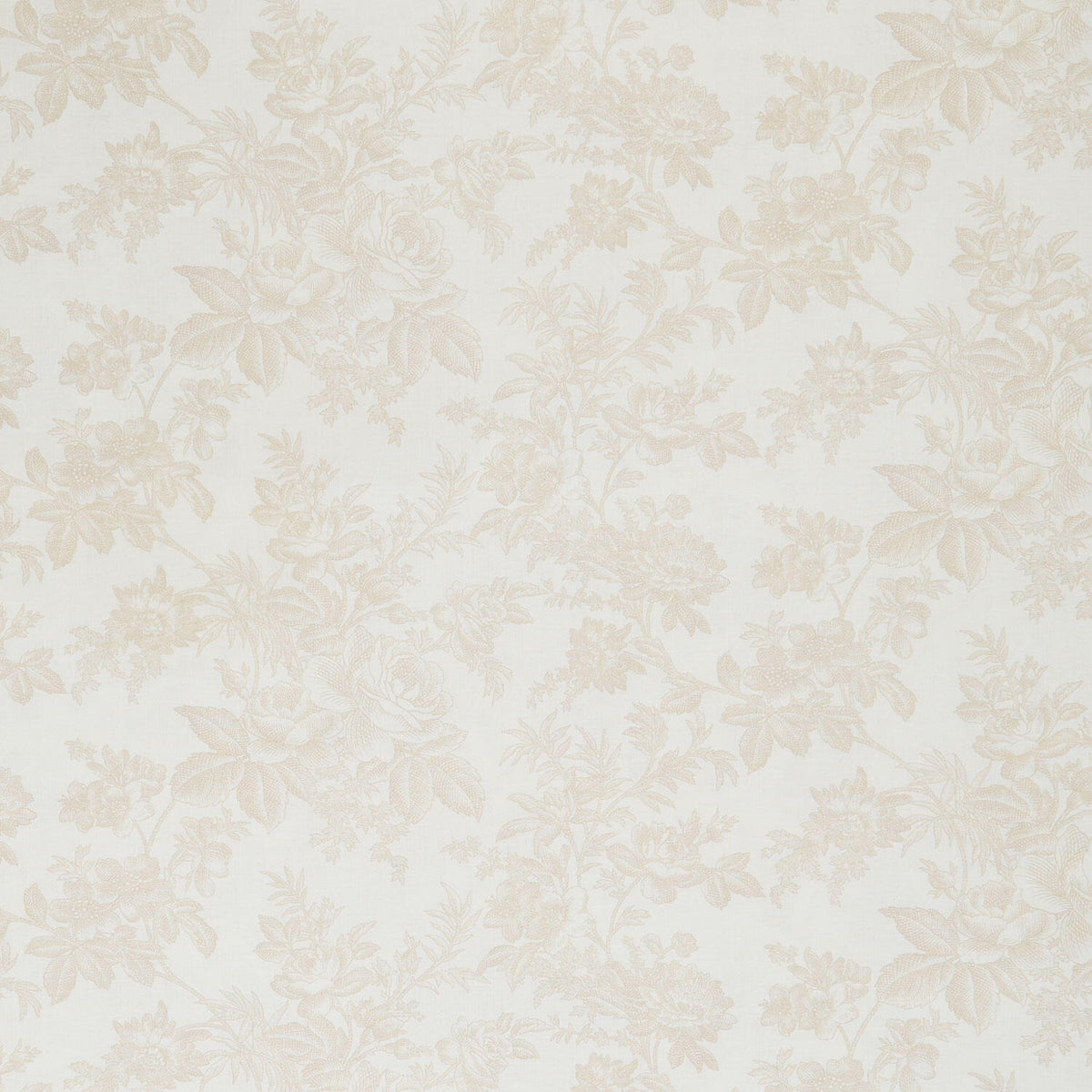Modern Classics - Rose Toile Cream 108" Wide Quilt Backing