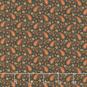 Midnight Cheddar - Paisley Parade Black Yardage