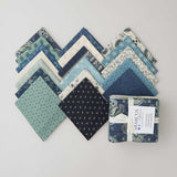 Blue Palisades Fat Quarter Bundle
