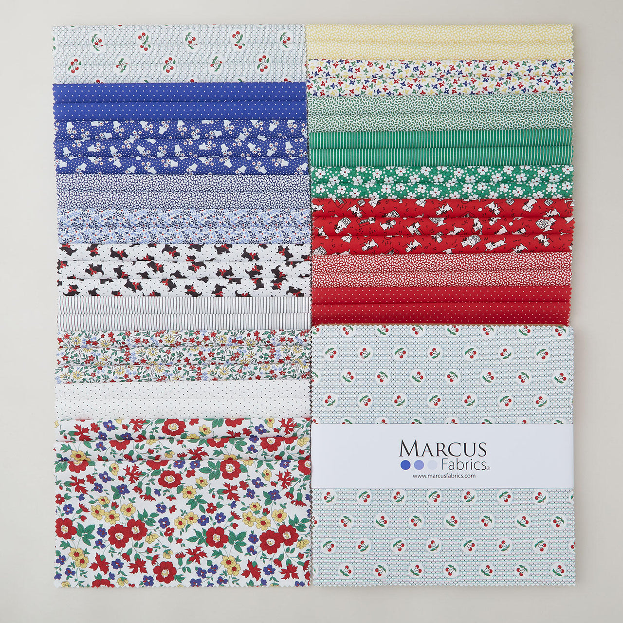 Aunt Grace Goes Bold 10" Squares