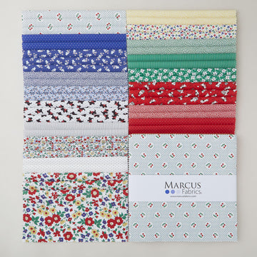 Aunt Grace Goes Bold 10" Squares