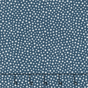 Star Spangled Beauty - Sparkle Stars Navy Yardage