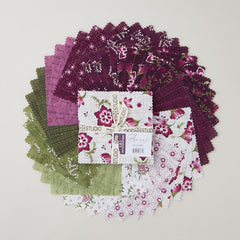Amour Favorites 5