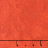 Spooky Stitches - Spooky Words Orange Yardage