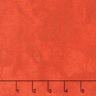 Spooky Stitches - Spooky Words Orange Yardage