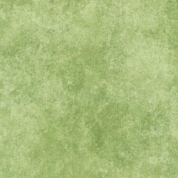 Shadow Play - Turtle Green Yardage