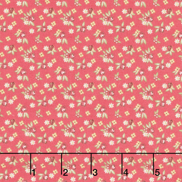 French Market - Buds Red Yardage