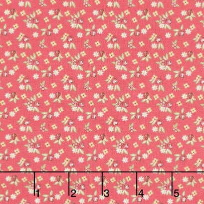 French Market - Buds Red Yardage