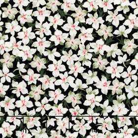 Marlowe - Packed Flower Black Yardage