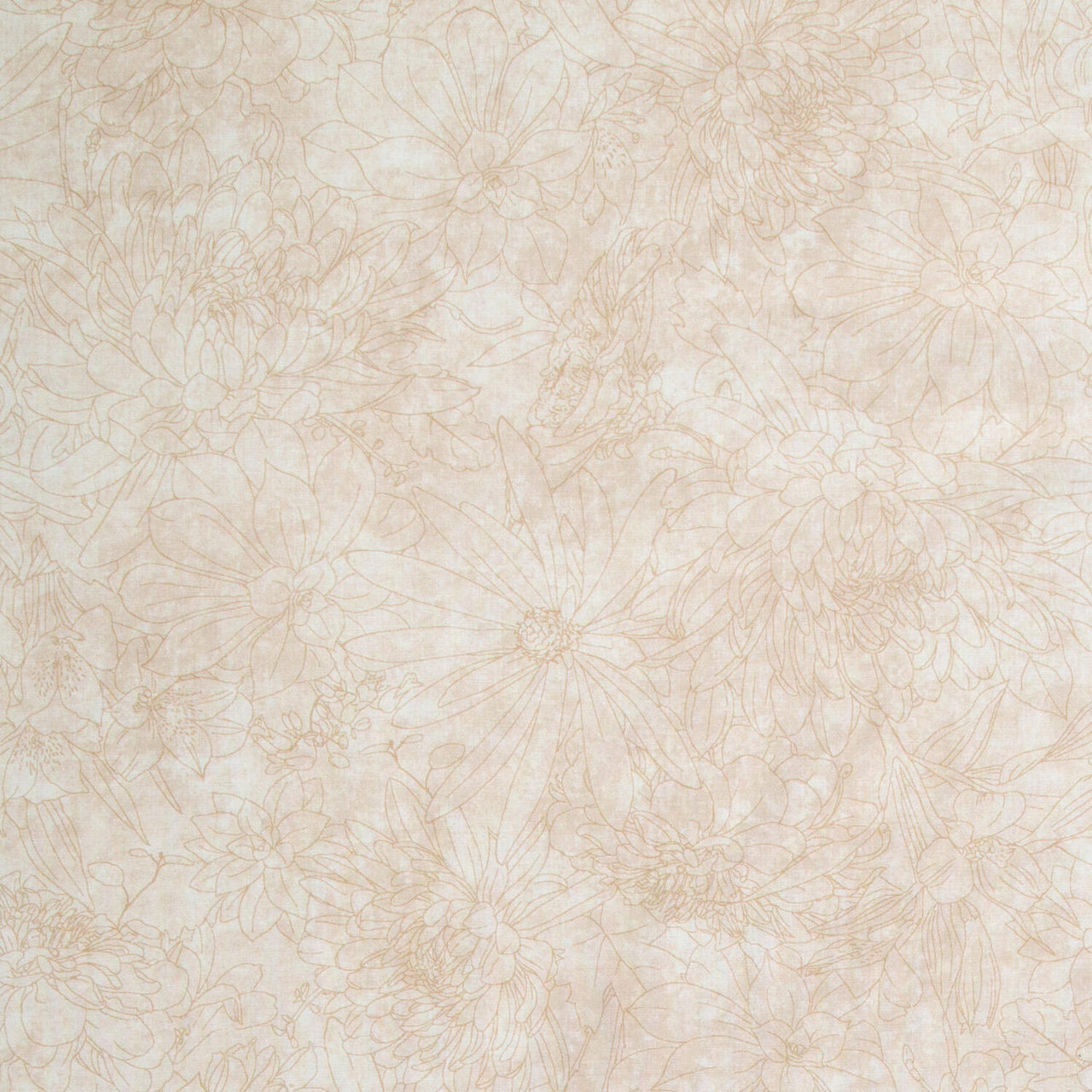 Fine Line Floral Quilt Backs - Cream 108" Wide Backing Yardage
