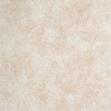 Fine Line Floral Quilt Backs - Cream 108" Wide Backing Yardage