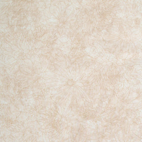 Fine Line Floral Quilt Backs - Cream 108" Wide Backing Yardage