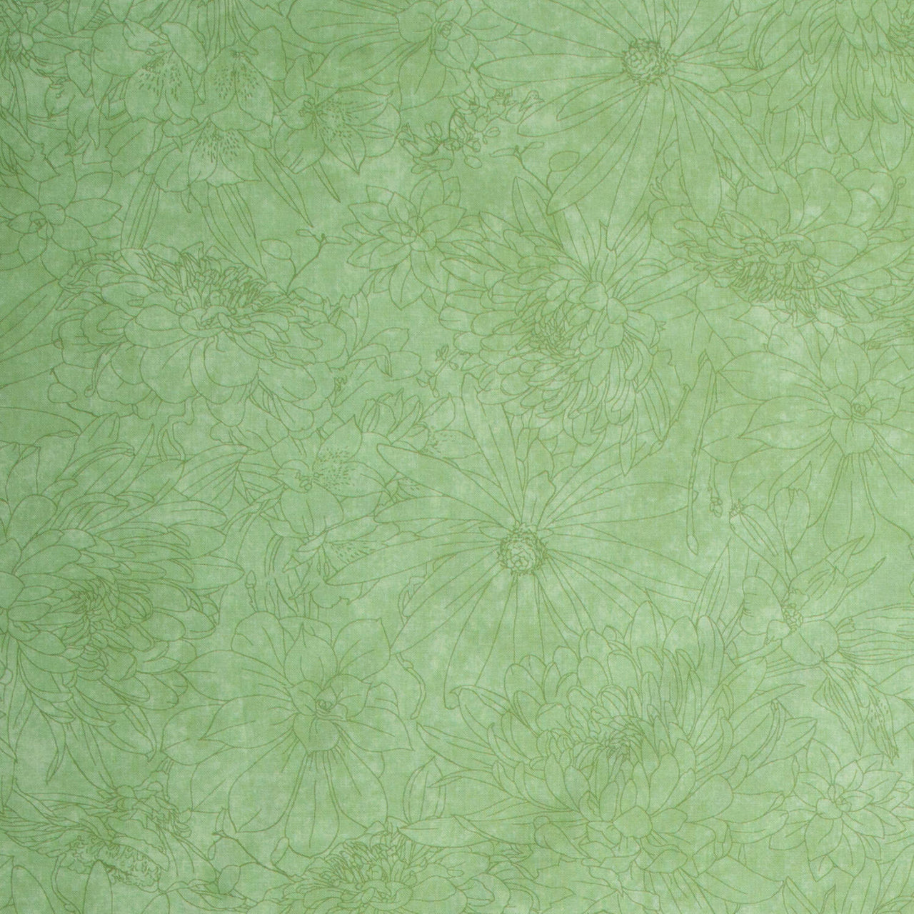 Fine Line Floral Quilt Backs - Green 108" Wide Backing Yardage