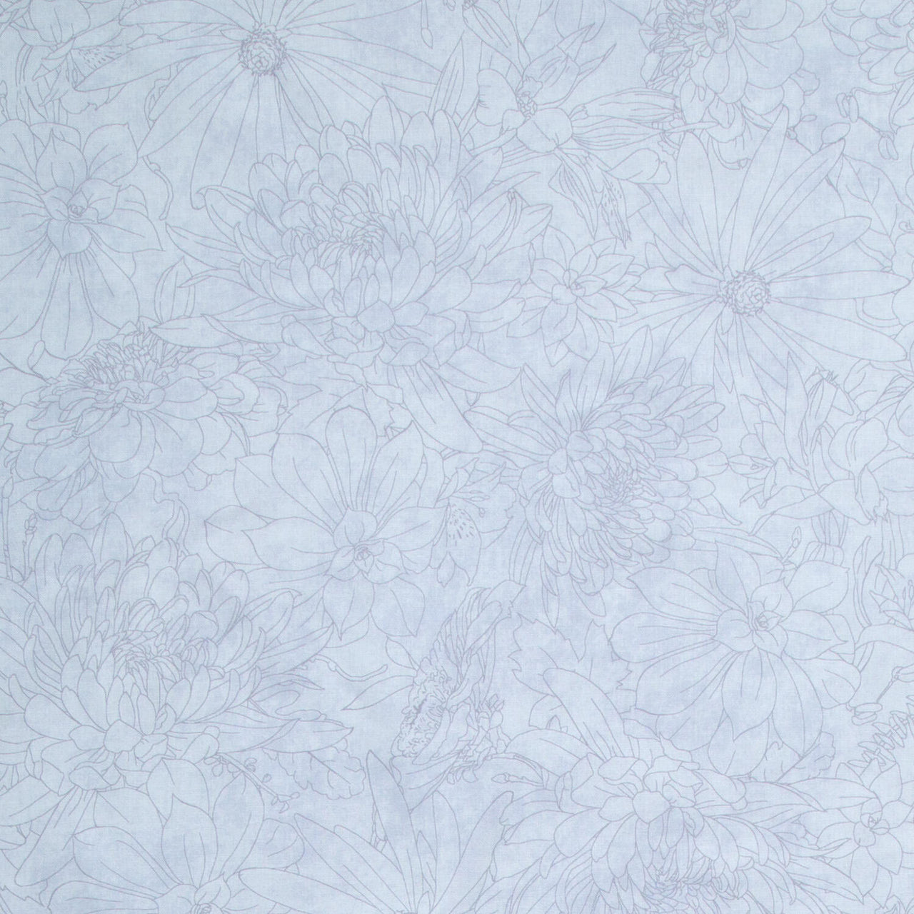Fine Line Floral Quilt Backs - Pale Gray 108" Wide Backing Yardage