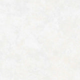 Harmony Quilt Backs - Cream 108" Wide Backing