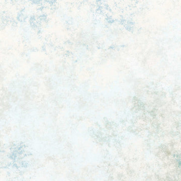 Harmony Quilt Backs - Soft Tan/Pale Blue/White 108" Wide Backing