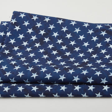 Land That I Love Favorites - Bright Stars Navy 2 Yard Cut