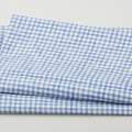 Land That I Love Favorites - Liberty Gingham Denim 2 Yard Cut