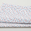 Land That I Love Favorites - Celebration Stars White 2 Yard Cut