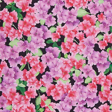 Flower Splendor - Azalea Black 2 Yard Cut